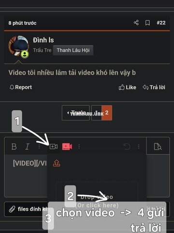 1000019086.jpg