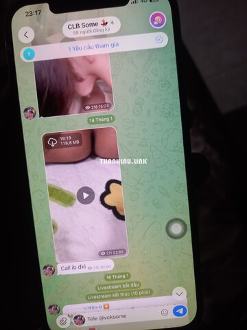 17701353974175559115379450705507.jpg